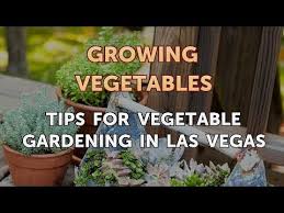 vegetable gardening in las vegas