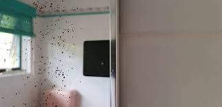 Replace Desilvering Bathroom Mirror