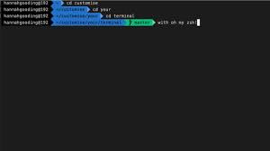 my terminal with oh my zsh macos