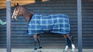bucas celtic le rug review horse