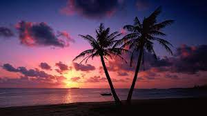 Tropical Beach Sunset Wallpapers - Top ...