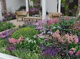 cottage garden design plants