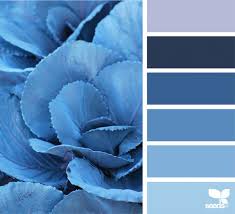 Nature Blues Design Seeds Color