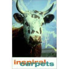 inspiral carpets she comes in the fall