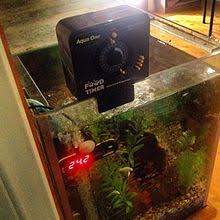 Cannot be there the hours that your fish have to eat? Aquarium Fish Feeder Wikipedia