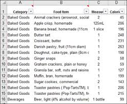 excel calorie counter track daily