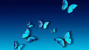 Blue butterfly wallpaper ...