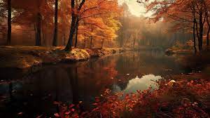 autumn hd wallpapers background top