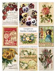Vintage Garden Catalogs Digital Collage
