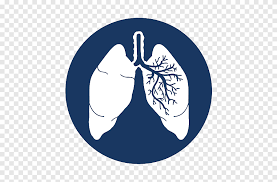 Tv shows, movies, music, it is all on ameba. Lung Cancer Organism Abemaciclib Lunge Text Logo Png Pngegg
