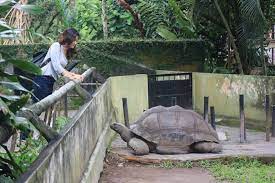 Agen travel klaten by sanjaya tour. Panduan Lengkap Wisata Kebun Binatang Gembira Loka Yogyakarta