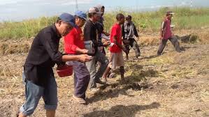 Ipinahihiwatig ng huling saknong ang. Bungkalan Mga Aral Mula Sa Hacienda Luisita At Negros Bulatlat