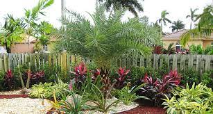 south florida landscape plants