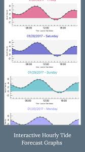 High Tide Charts And Graphs By Lw Brands Llc