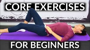 easy core exercises for beginners home