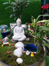 buddha miniature garden at rs 499 piece