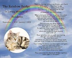 Just this side of heaven is a place called rainbow bridge. Personalized Rainbow Bridge Pet Loss Memorial Poem Dog Cat 8x10 Print With Photo Ebay