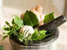 Top 6 culinary herbs and their uses - Times of India