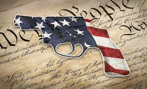 Image result for gun rights