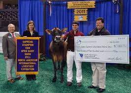 jerseys supreme in naile dairy shows