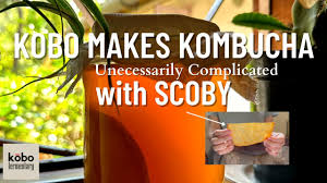 how to make kombucha with scoby but