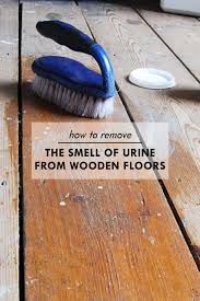 Smell Of Urine From Wooden Floorboards