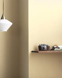 Coronado Cream 219 Benjamin Moore