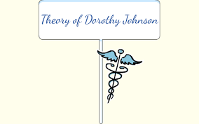 Importance of Dorothy Johnson's Theory for Nursing
