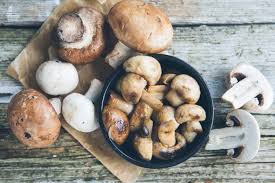 what are the health benefits of mushrooms