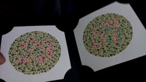 Unboxing Original Ishihara Color Blindness Test 38 Plates