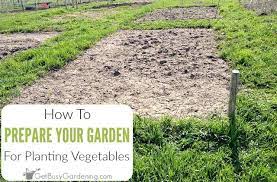 a garden bed for planting vegetables