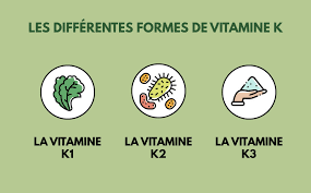 Chemistry, nutritional sources, tissue distribution and metabolism of vitamin k with special reference to bone. La Vitamine K Plus Importante Que L On Ne Croit