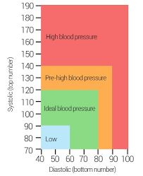 Blood Pressure My Body My Baby