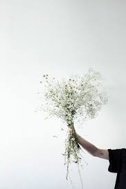 hd wallpaper person holding flowers