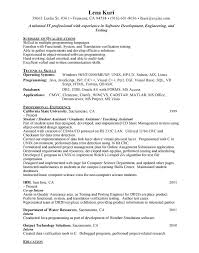 Entry Level Programmer Free Resumes Free Resumes
