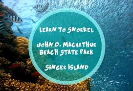 Learn How To Snorkel Dive
