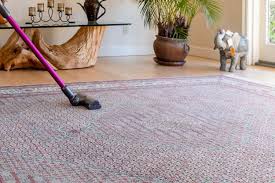 remove dog urine from carpet padding