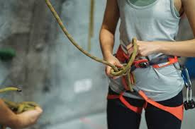 top 6 best climbing harness for