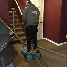 carpet cleaning in grand rapids mi