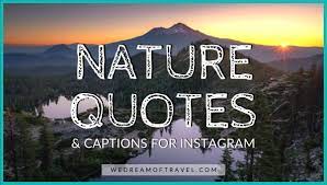 nature es captions perfect for ig