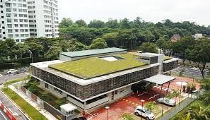 Yishun Childcare Center Green Roof