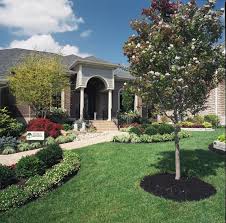 Choosing The Best Trees For Landscaping