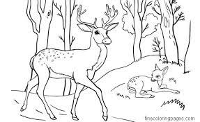 Printable color by number for adults. 16 Best Free Printable Deer Coloring Pages For Kids
