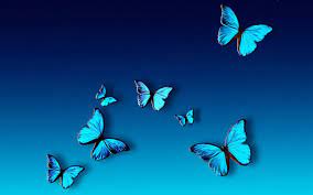 blue erflies aesthetic