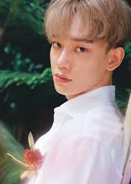 Image result for chen