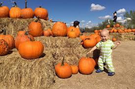 Pumpkin Patches In Phoenix Phoenix With Kids