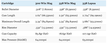 300 Win Mag Vs 338 Lapua Vs 338 Win Mag Picking The Right