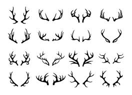 Elk Antler Silhouette Images – Browse 14,637 Stock Photos, Vectors, and Video | Adobe Stock
