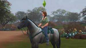 saddle in the sims 4