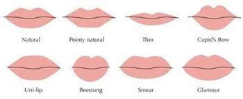 clification of the lip shapes